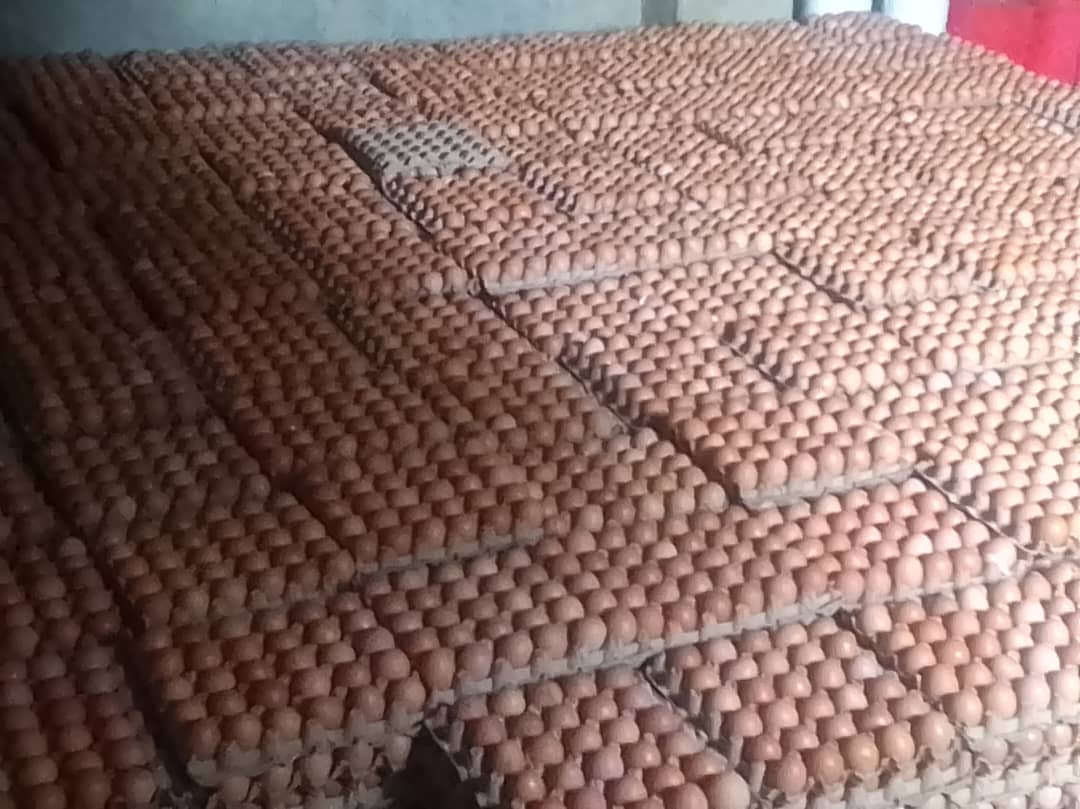 Eggs