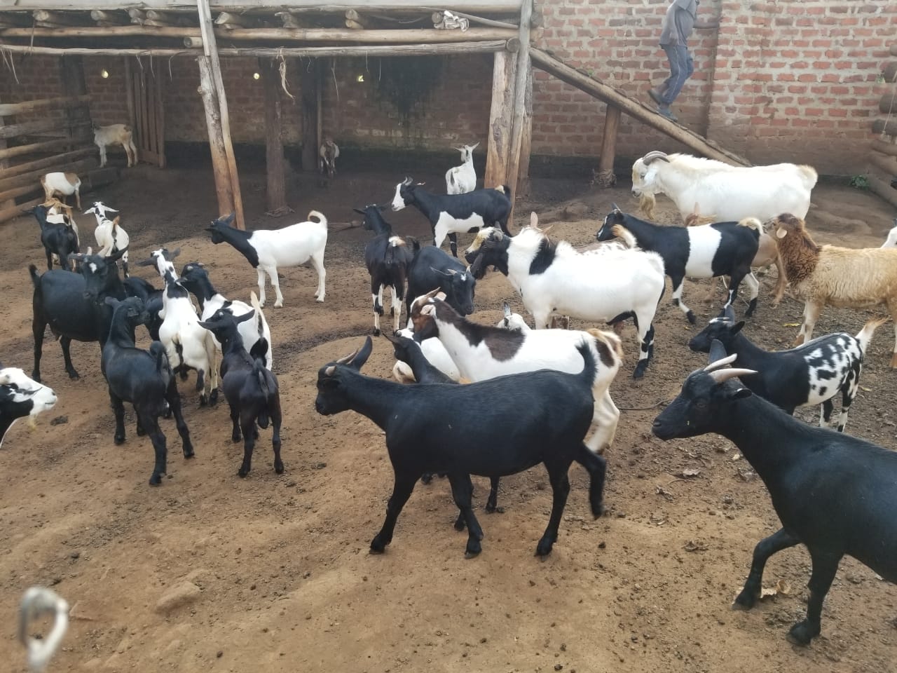 WBKA Farm Overview