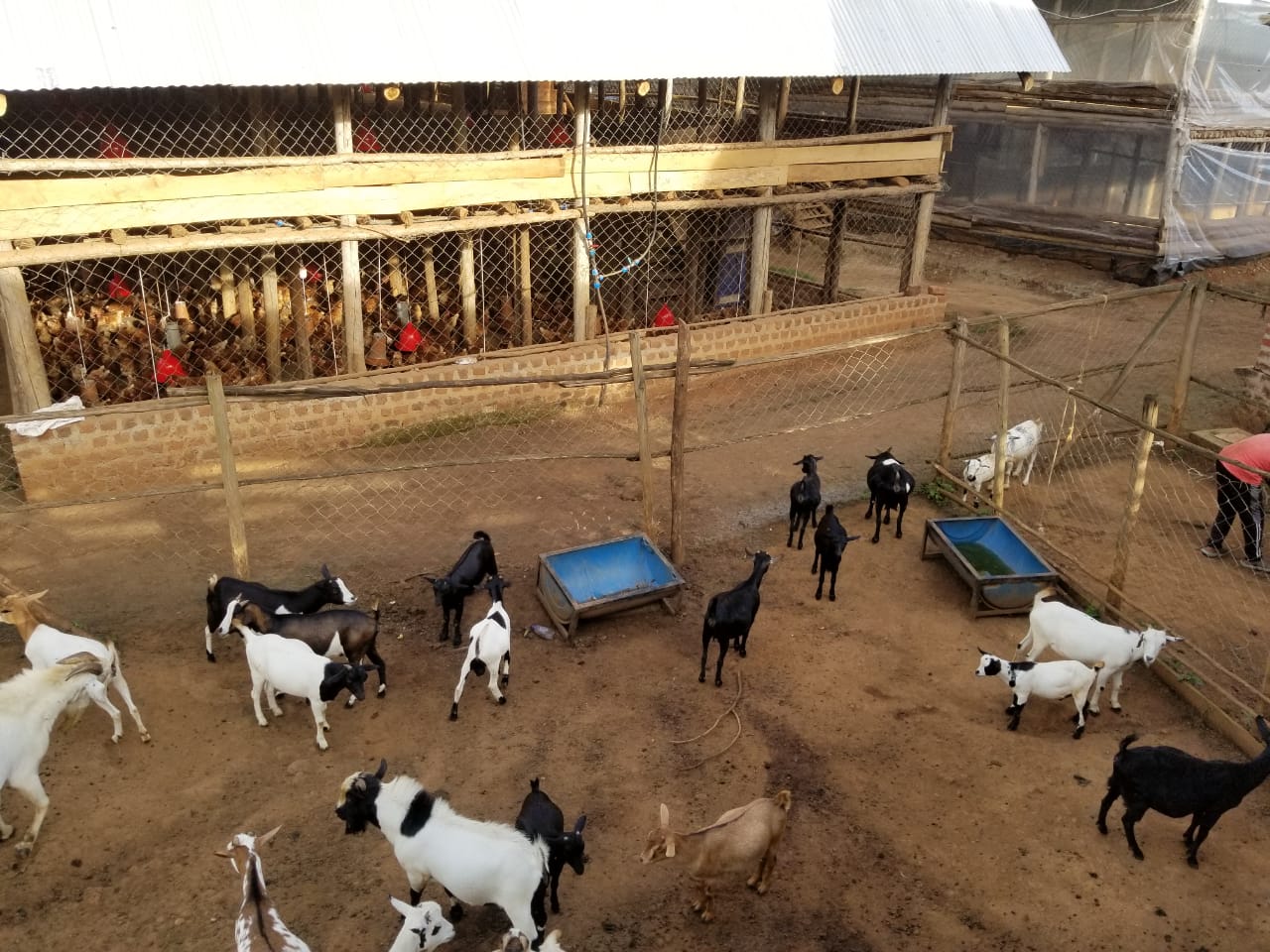 WBKA Farm Overview